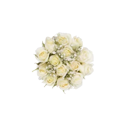 Bloom Haus White Spray Rose Fresh Flower Bouquet