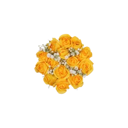 Bloom Haus Yellow Spray Rose Fresh Flower Bouquet