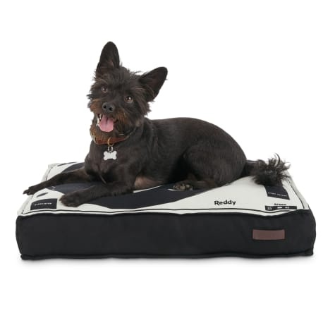 slide 1 of 1, Reddy Record Player Dog Bed - Large, 1 ct