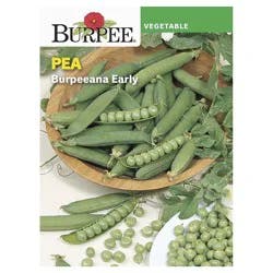 Burpee Burpeeana Early Pea