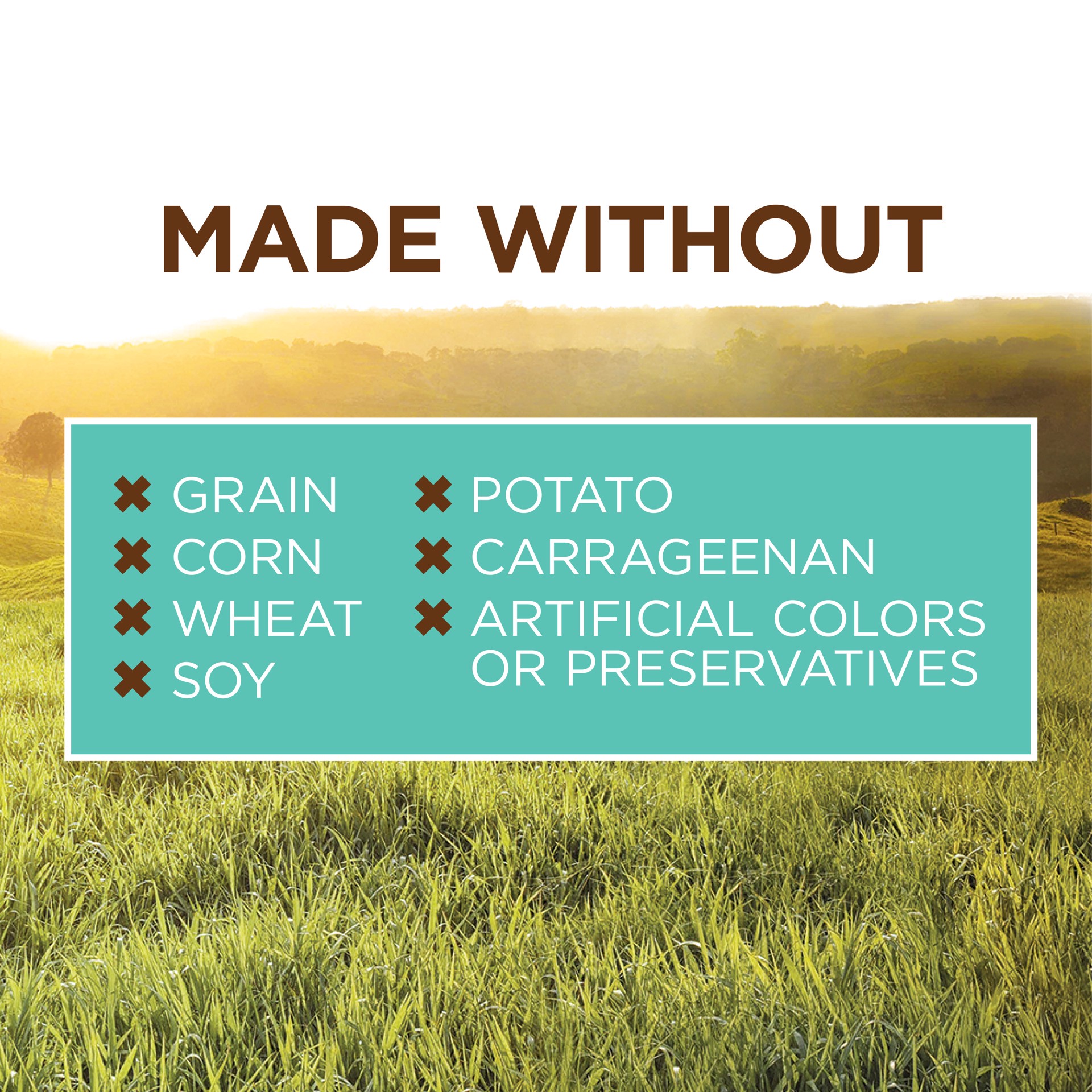 slide 3 of 9, Instinct Original Puppy Chicken Wet Dog Food, 13.2 oz. Can, 0.82 lb