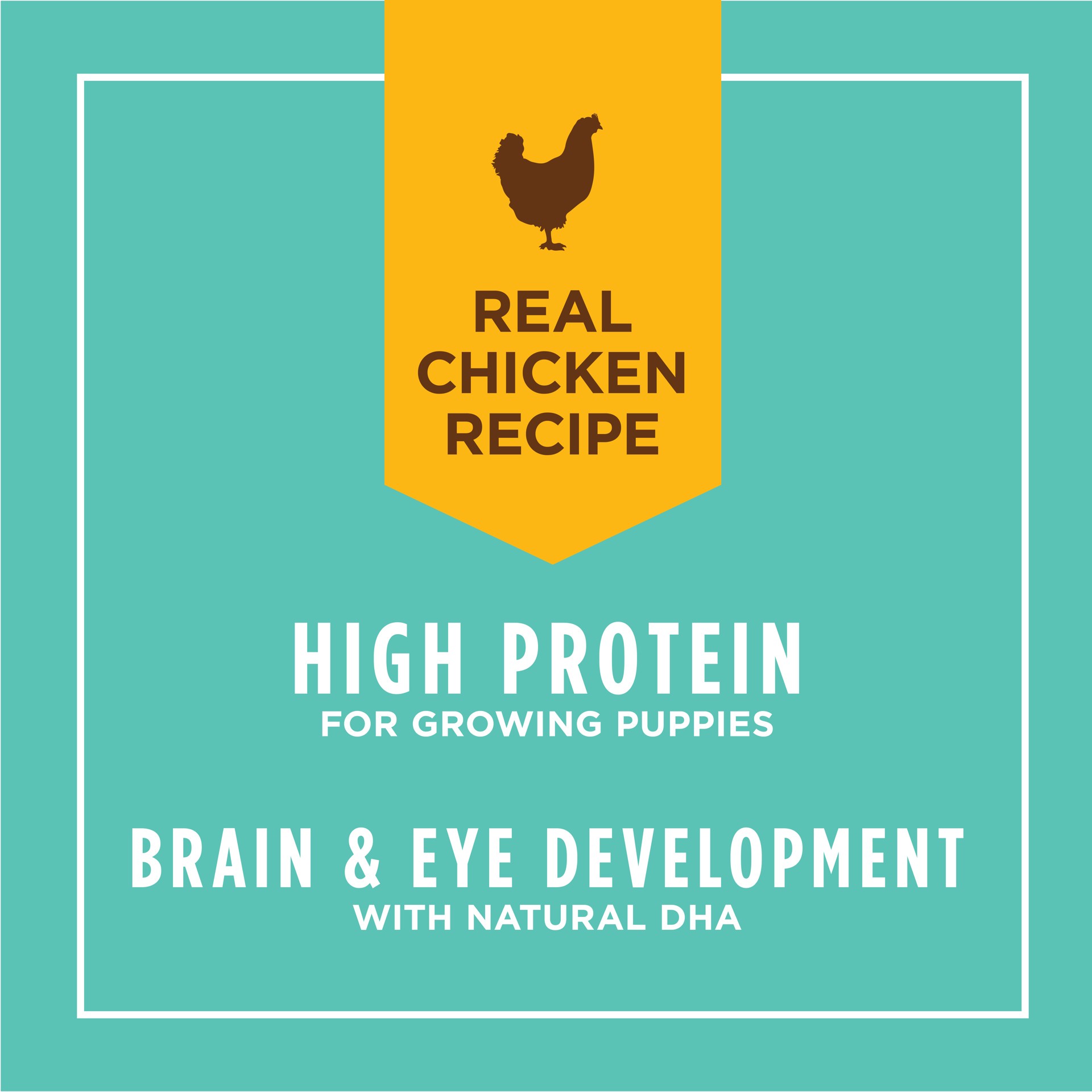 slide 5 of 9, Instinct Original Puppy Chicken Wet Dog Food, 13.2 oz. Can, 0.82 lb