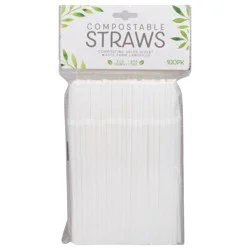 Evriholder Products Straws 100 ea
