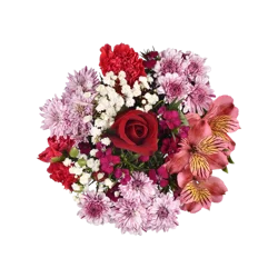 Bloom Haus Strawberry Patch Fresh Cut Flower Bouquet, 9 stem