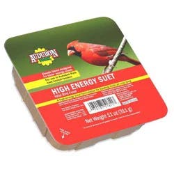 Audubon Park High Energy Suet Wild Bird Food 11 oz