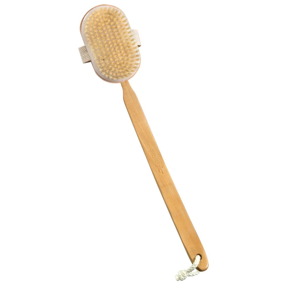 slide 1 of 1, Daylogic Bristle Bath Brush, Detachable Brush Head, Brown, 1 ct