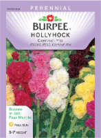 slide 1 of 1, Burpee Carnival Mix Hollyhock Seeds, 1 ct