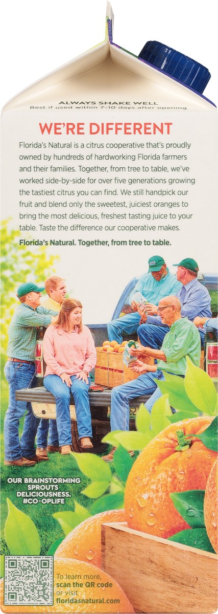 slide 7 of 9, Florida's Natural Premium No Pulp 100% Orange Juice- 52 fl oz, 52 fl oz