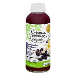 Nature's Promise Organic Kombucha Blackberry Vanilla