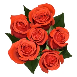 Giant Orange Roses Bunch