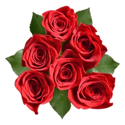 Red Roses Bunch