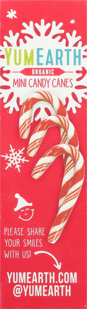 slide 6 of 9, YumEarth Organic Mini Candy Canes 30 ea, 30 ct