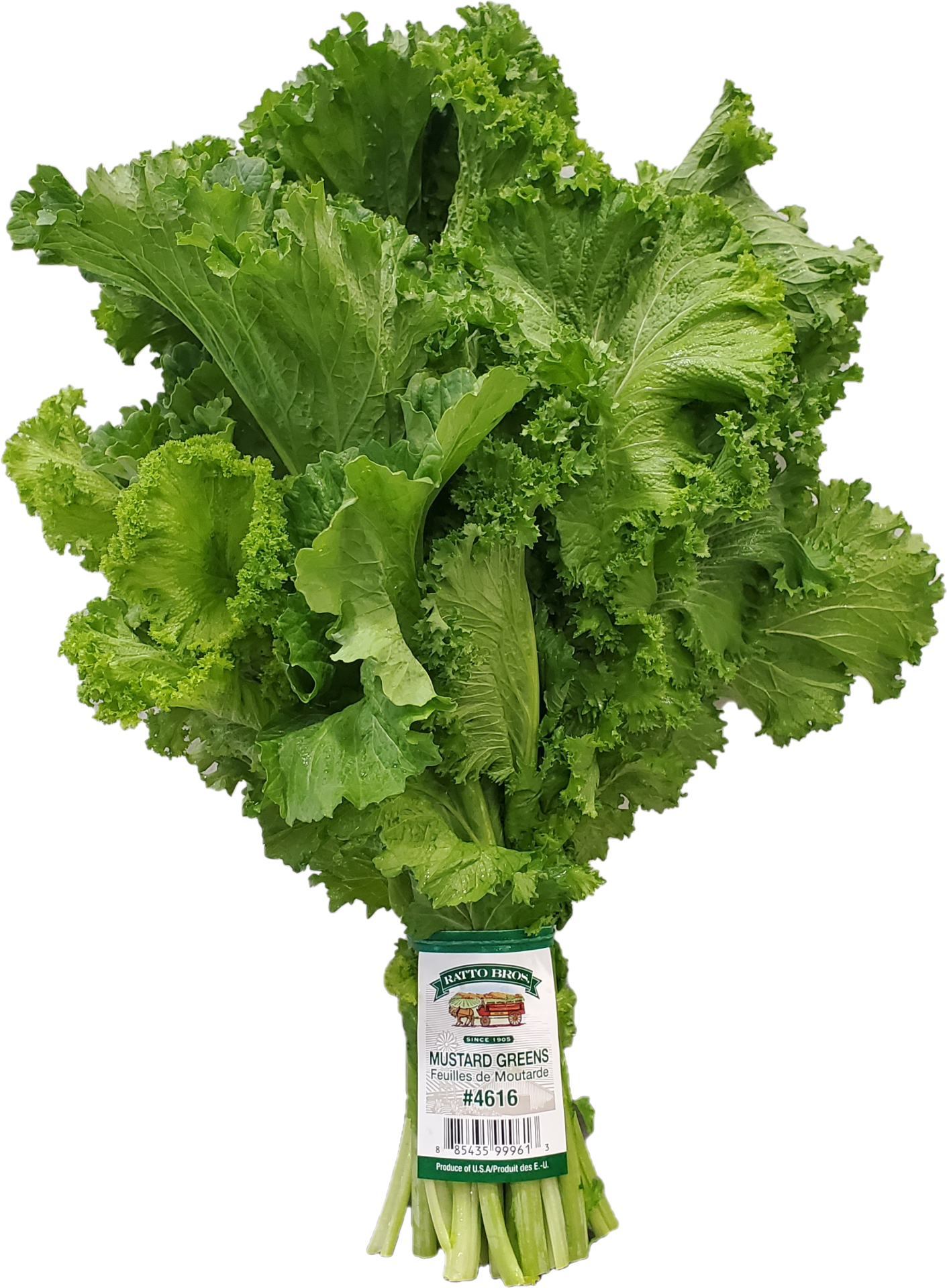 slide 1 of 1, Kal Niacin, 100 ct