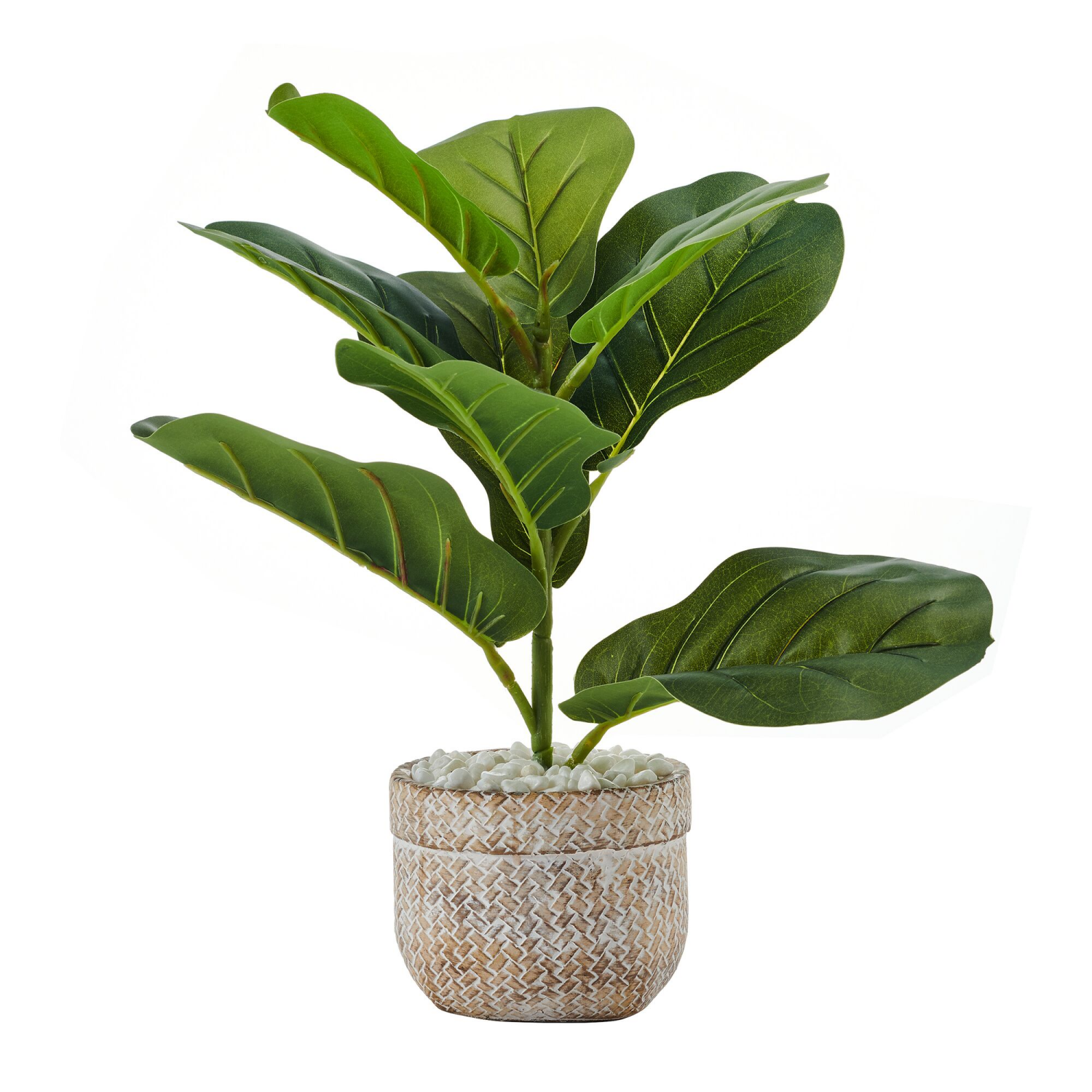 slide 1 of 1, ELEMENTS Ele 15in Fddlhd Ivr Pt Plstc Artfcl Grnr, 1 ct