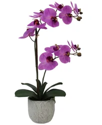 Mikasa Orchid Plastic Artificial Greenery Dark Pink 22IN