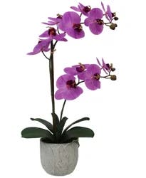 Mikasa Orchid Plastic Artificial Greenery Dark Pink 22IN