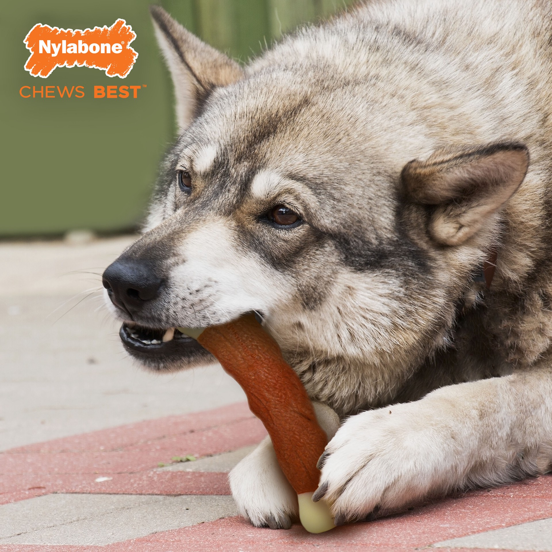 slide 2 of 9, Nylabone Power Chew Marrow Bone Alternative Dog Chew Toy Beef Large/Giant - Up to 50 lbs.(1 Count), 1 ct