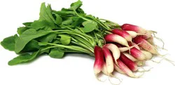 French Breakfast Radish