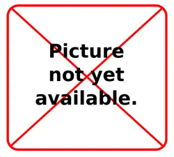 Fritos Corn Chips Classic Ranch Flavored 9 1/4 Oz