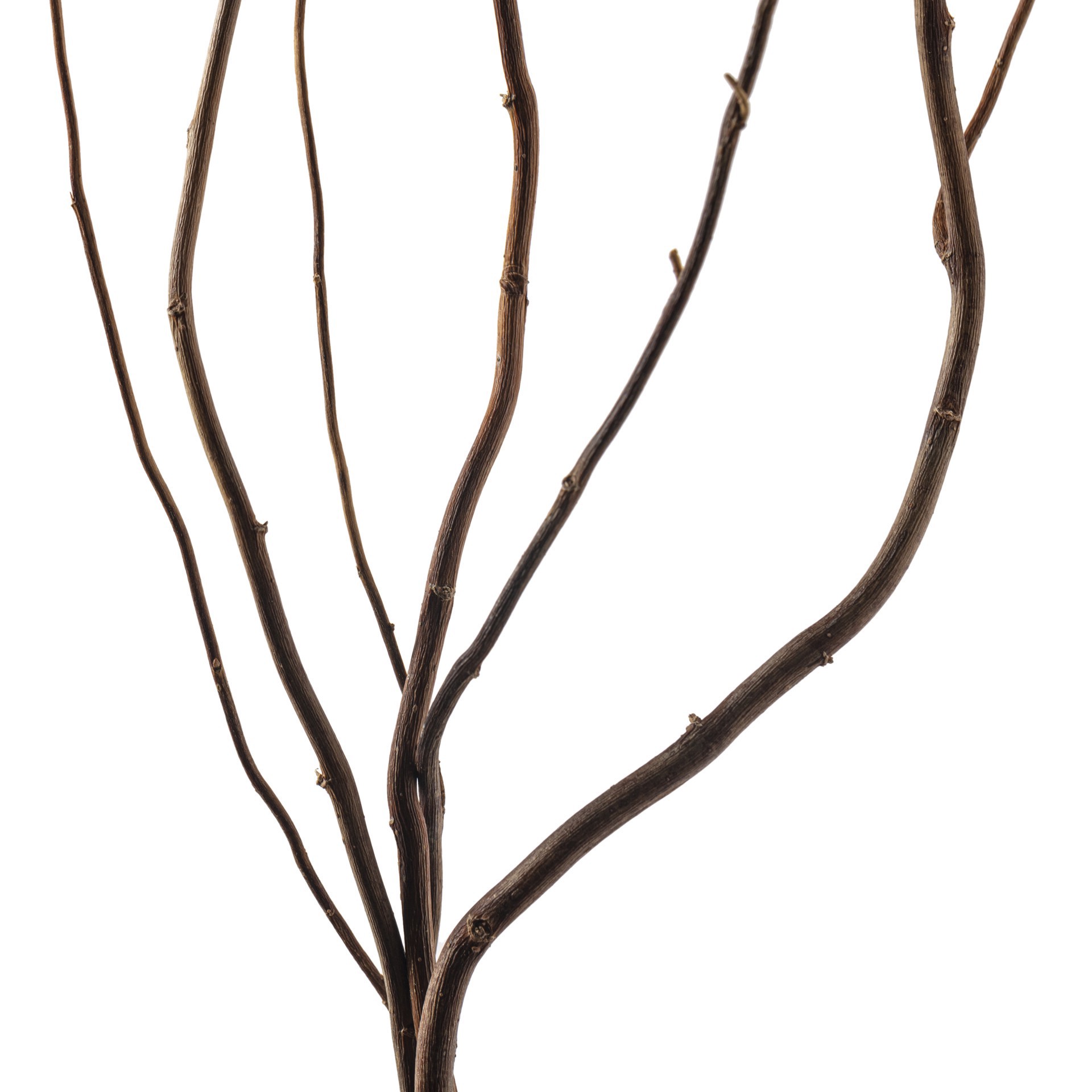 slide 3 of 3, Natural Curly Willow By Ashland, 24 in