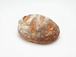 Crusty Sourdough Round Frnch Brd