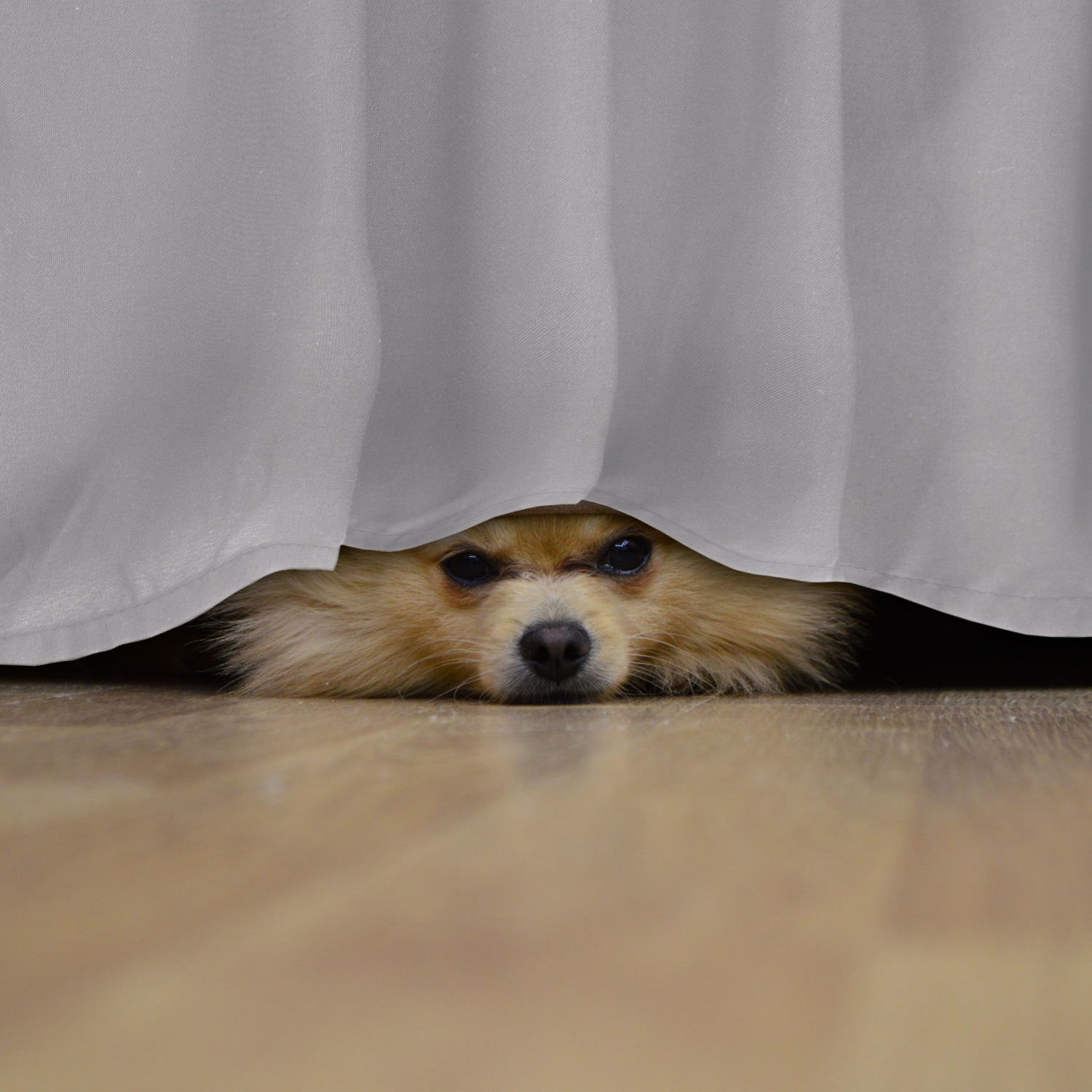 slide 4 of 8, MARTEX Basic Microfiber Bedskirt Grey Queen, Queen Size