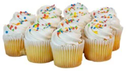 Bakery Buttercream Everyday Cupcakes - 10 Count