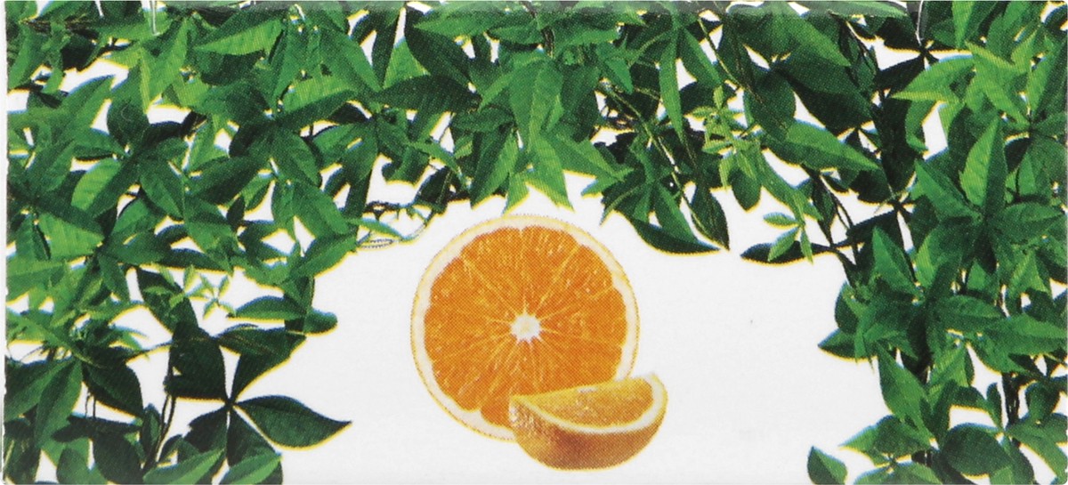 slide 7 of 12, Nailtopia Orange Cuticle Conditioner 12 ml, 12 ml