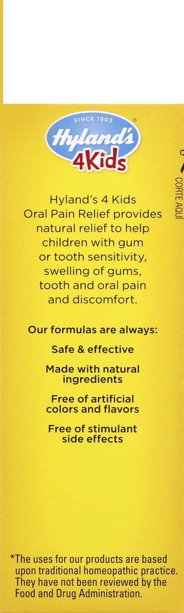 slide 3 of 6, Hyland's 4Kids Oral Pain Relief Tablets, 125 ct