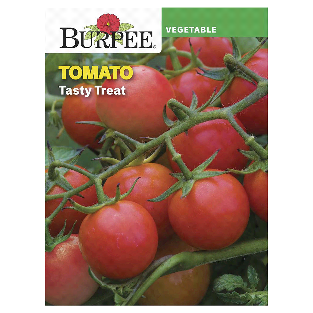 slide 1 of 5, Burpee Tomato Tasty Treat Seeds, 1 ct