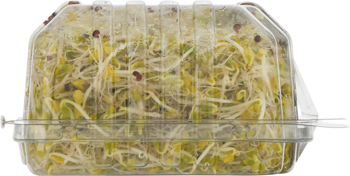 slide 6 of 16, Jonathan's Org Broc Sprouts, 1 ct