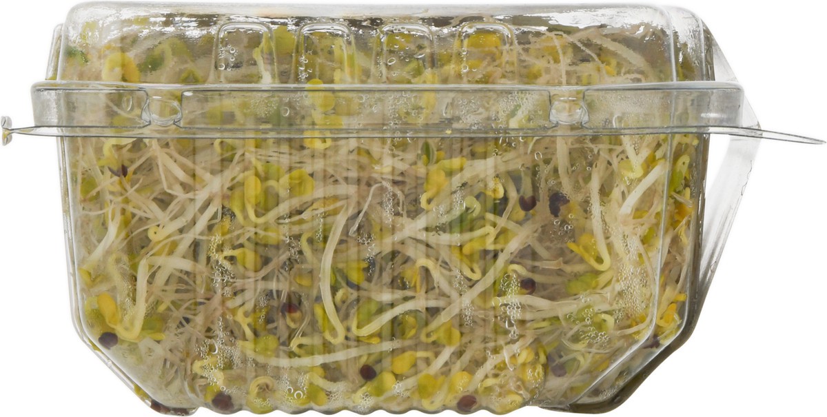 slide 7 of 16, Jonathan's Org Broc Sprouts, 1 ct