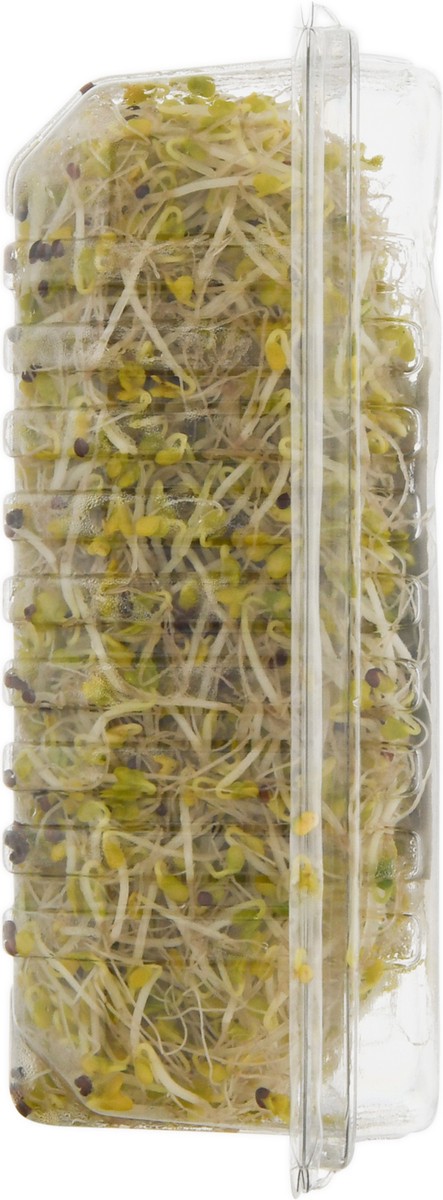 slide 9 of 16, Jonathan's Org Broc Sprouts, 1 ct