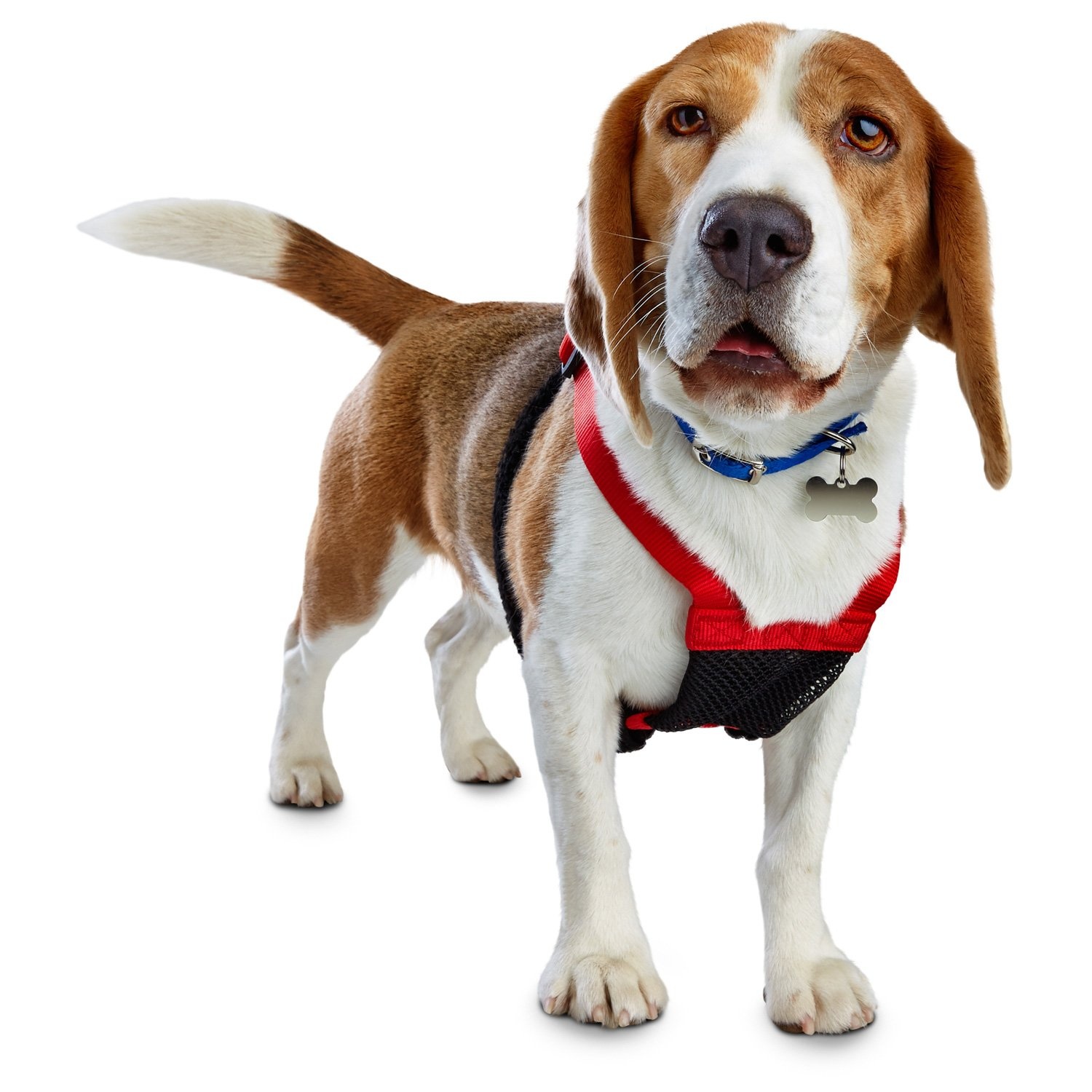 slide 1 of 1, Good2Go Red No Pull Dog Harness, LG