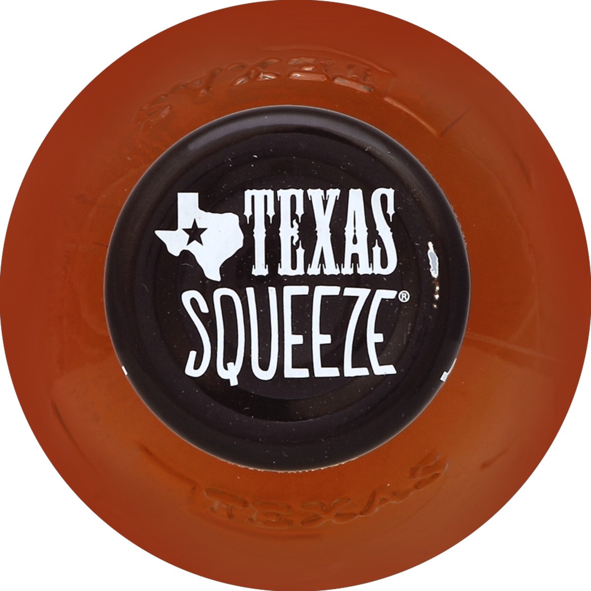 slide 4 of 4, Texas Squeeze 100% Apple Juice - 16 oz, 16 fl oz