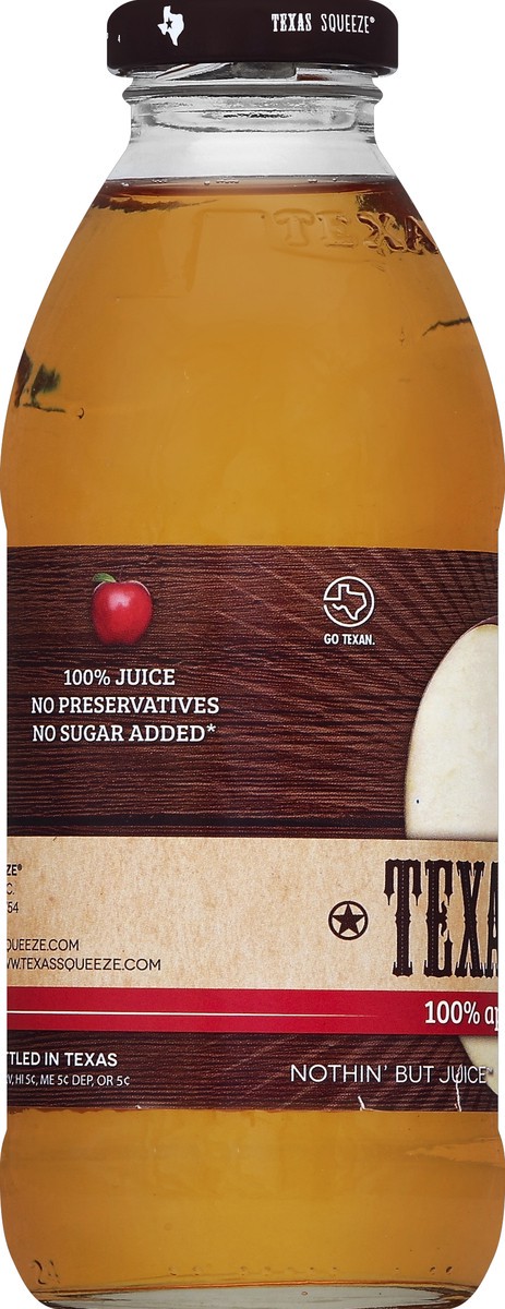 slide 2 of 4, Texas Squeeze 100% Apple Juice - 16 oz, 16 fl oz