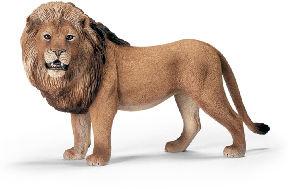 slide 1 of 1, Schleich Lion, 1 ct