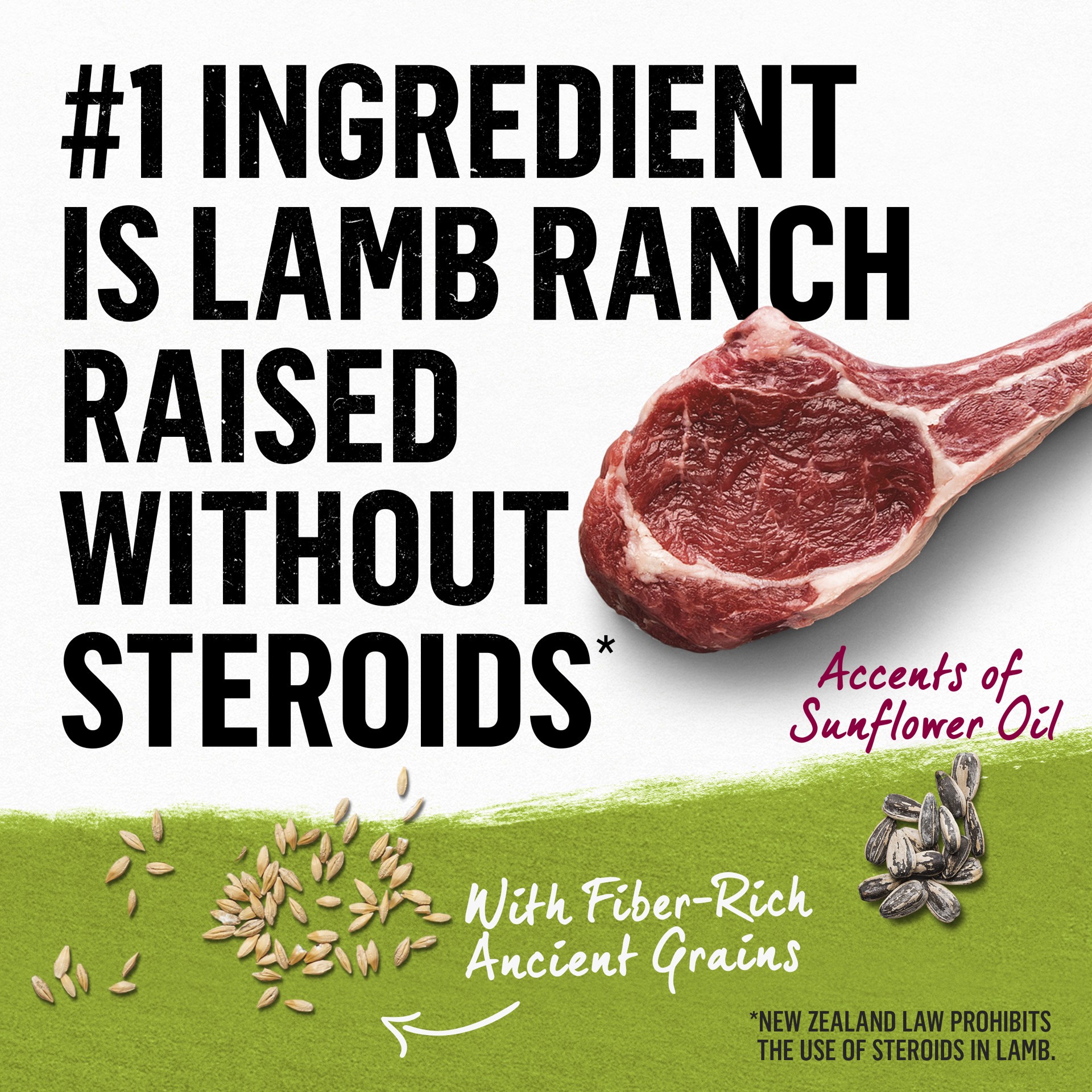 slide 6 of 7, Purina Beyond Simple Ingredient, Natural Dry Dog Food, Simply Pasture Raised Lamb & Whole Barley Recipe, 14.50 lb