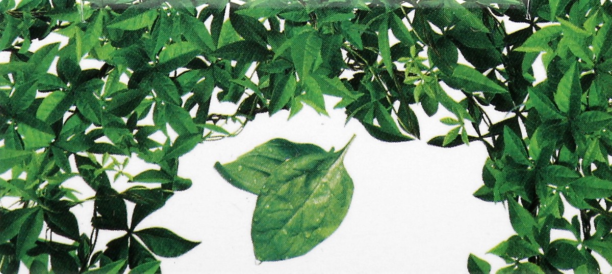 slide 2 of 12, Nailtopia Spinach Cuticle Revitalizer 12 ml, 12 ml