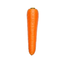 Organic Carrot 2 lb