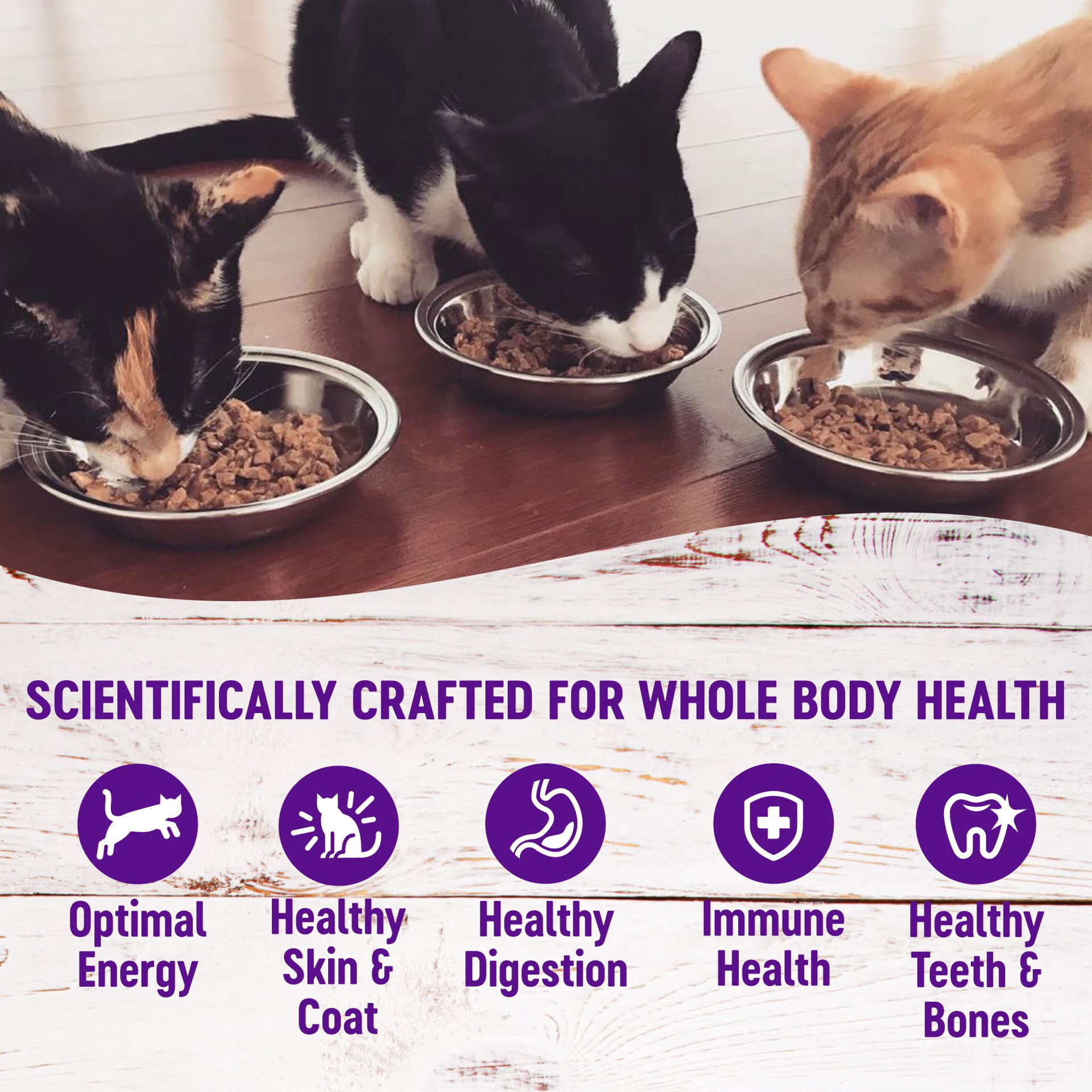 slide 2 of 5, Wellness Shreds Adult Cat Food - Grain Free, Variety Pack, 1 ct