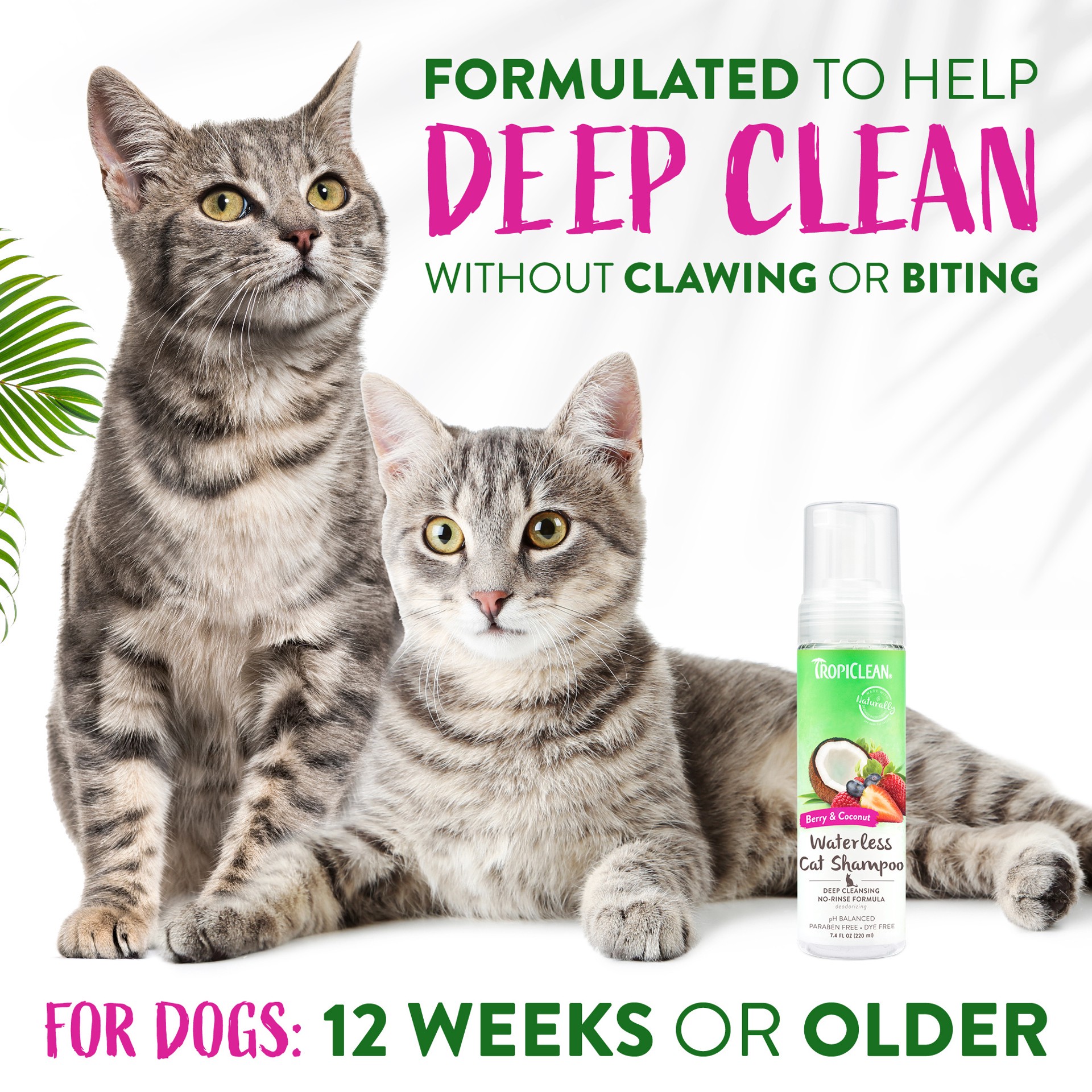 slide 2 of 10, TropiClean Deep Cleansing Waterless Cat Shampoo, 7.4oz, 7.4 oz