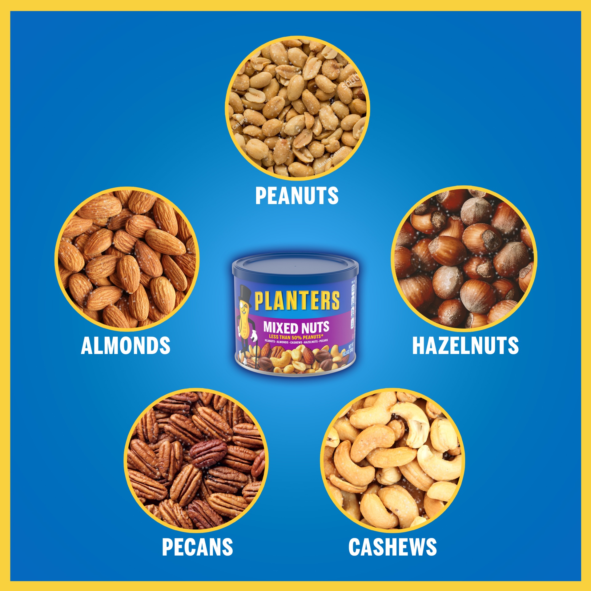 slide 6 of 13, Planters Salted Mixed Nuts 10.3 oz, 10.3 oz