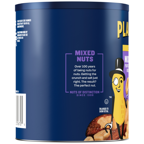 slide 9 of 29, Planters Salted Mixed Nuts 15 oz, 15 oz