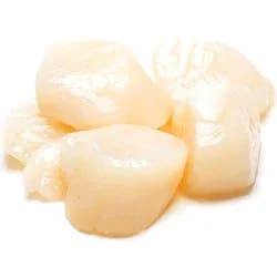 Kowalskis 15/25 Count Fresh Sea Scallops