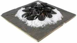 Live Fresh P.E.I. Mussels