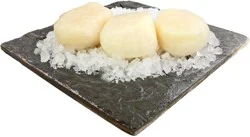 Fresh U-8 Dry Packed Sea Scallops
