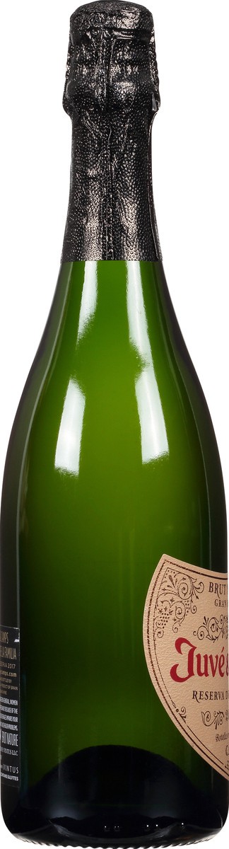 slide 7 of 11, Juve & Camps Reserva De La Familia Sparkling Wine 750 ml, 750 ml