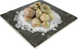 Live Manila Clams