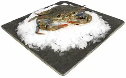 Fresh Soft Shell Crabs